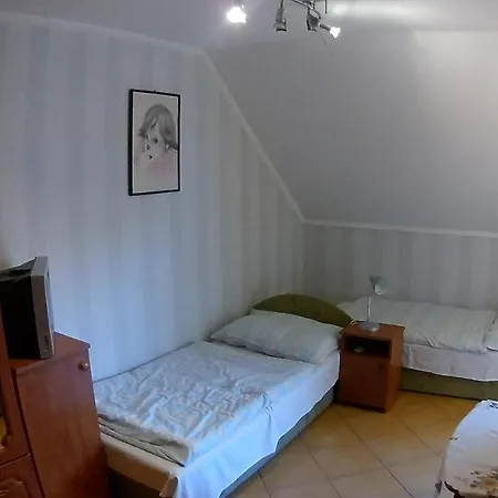 Abigel Vendeghaz 哈卡尼