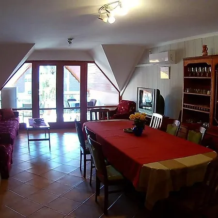 Abigel Vendeghaz 哈卡尼